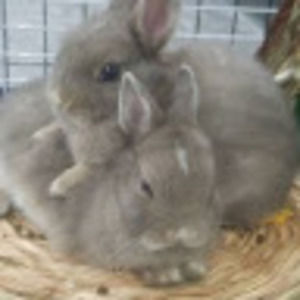 Meet your Posher, Yasmin